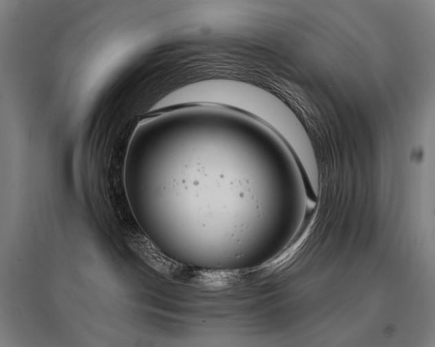 X0000096150190200801181211