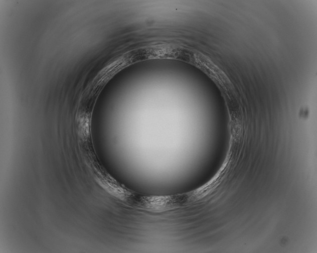 X0000096150191200801181211