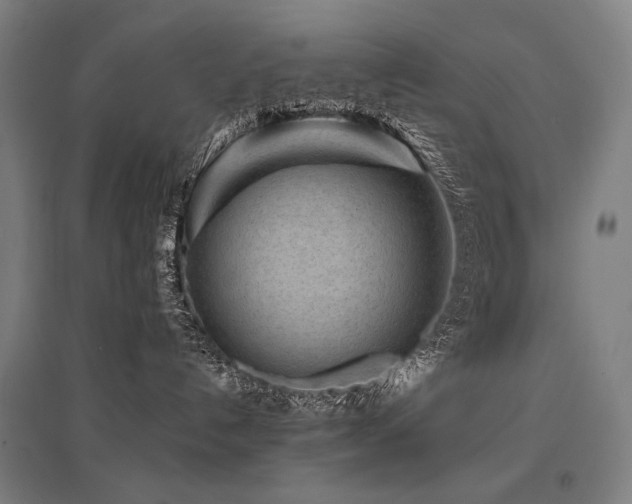 X0000096150192200801181211