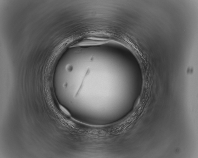 X0000096150193200801181210