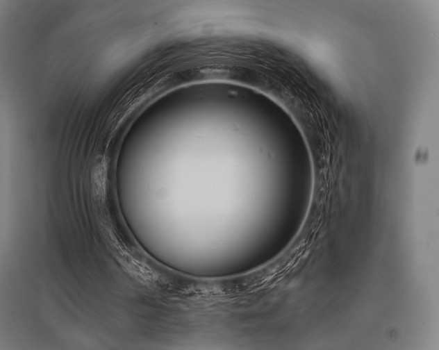 X0000096150194200801181210