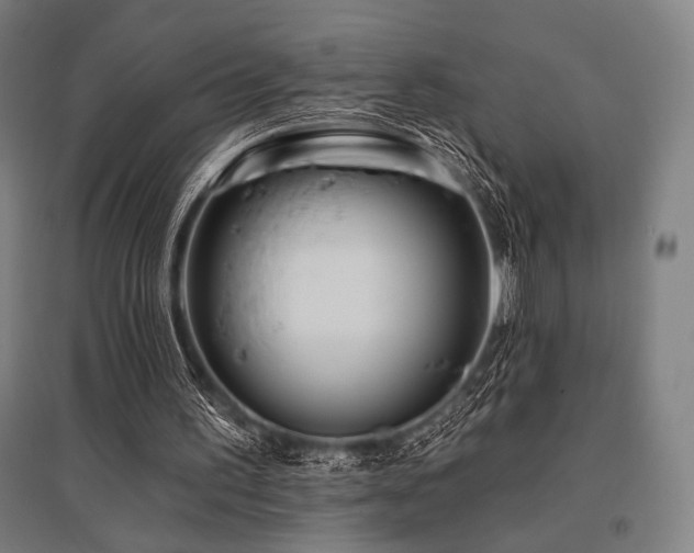 X0000096150195200801181210