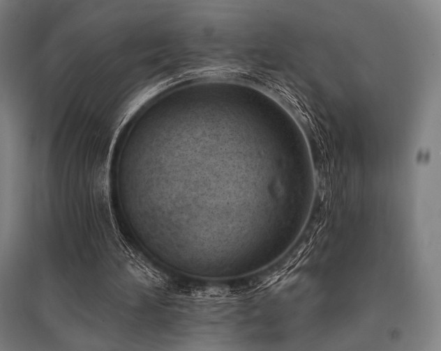X0000096150196200801181210