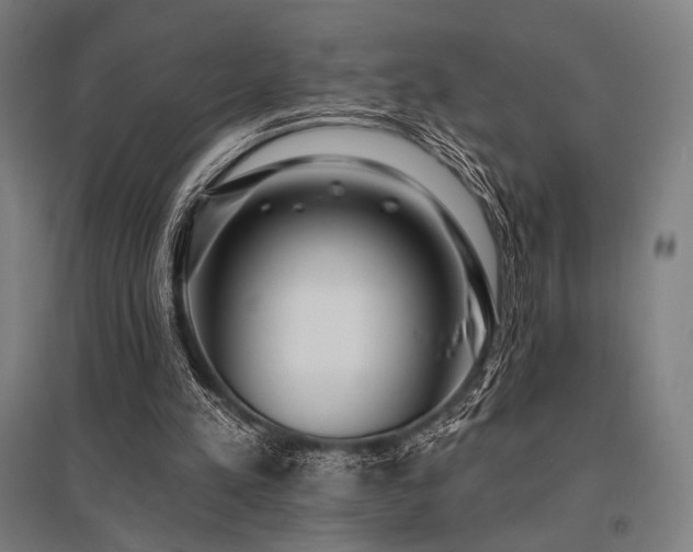 X0000096150197200801181210