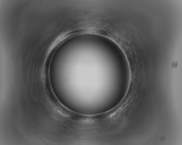 X0000096150198200801181210