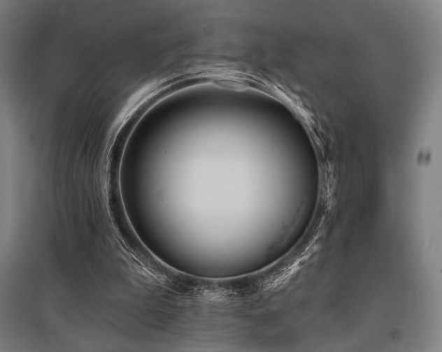 X0000096150199200801181210