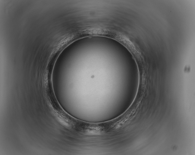 X0000096150202200801181210