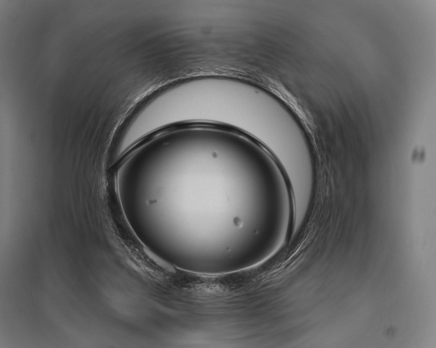 X0000096150203200801181210
