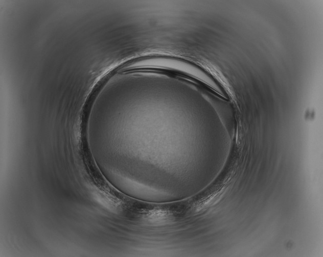 X0000096150204200801181210