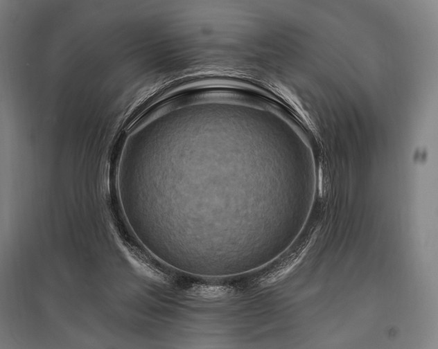 X0000096150205200801181210