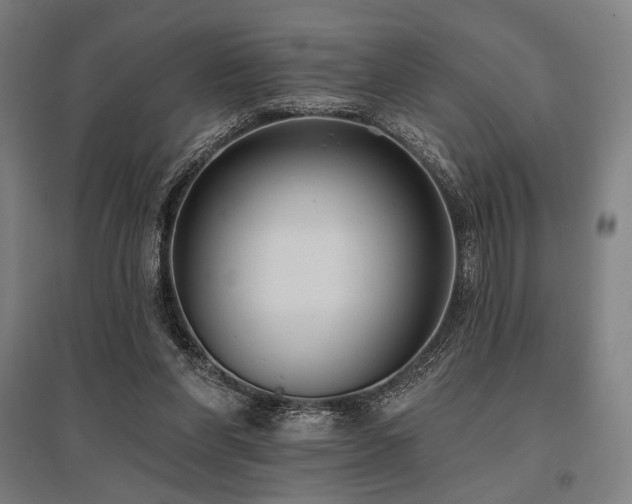 X0000096150206200801181210