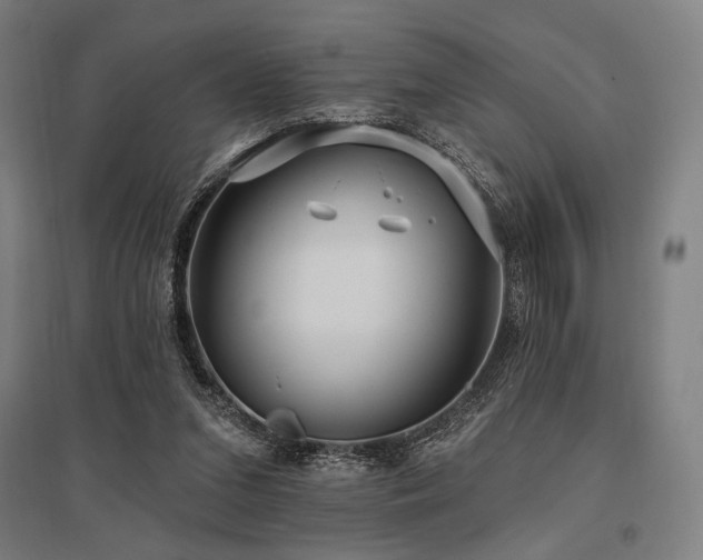 X0000096150207200801181210