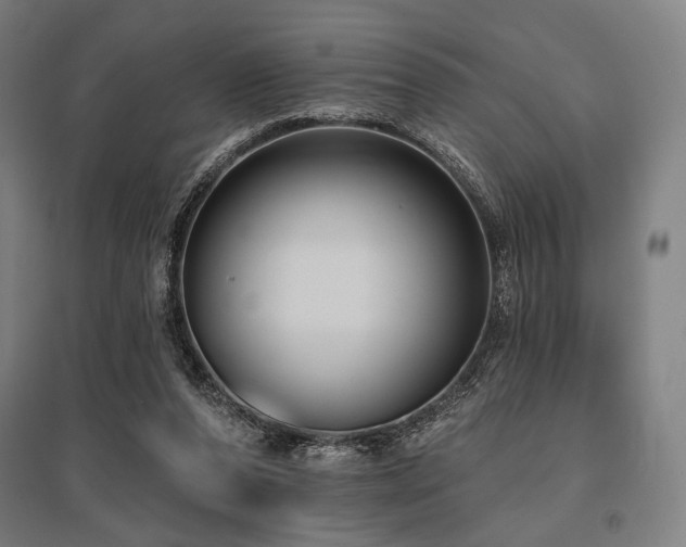 X0000096150208200801181210