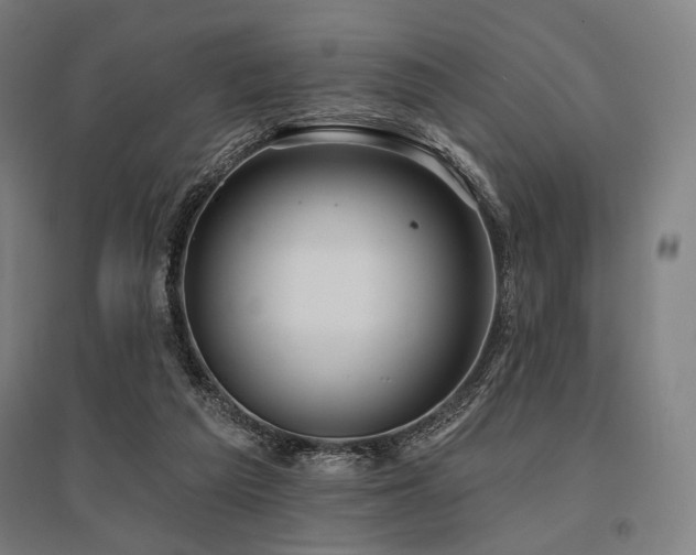 X0000096150209200801181210