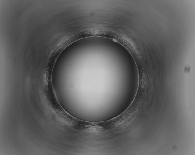 X0000096150210200801181210