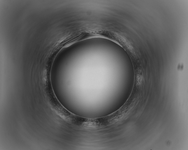 X0000096150211200801181210