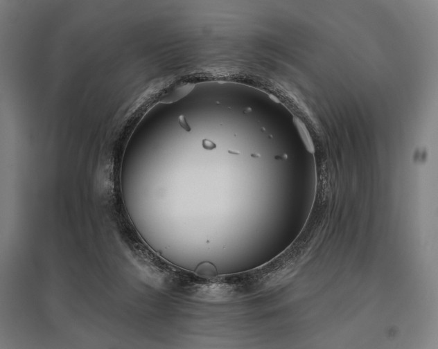 X0000096150212200801181210