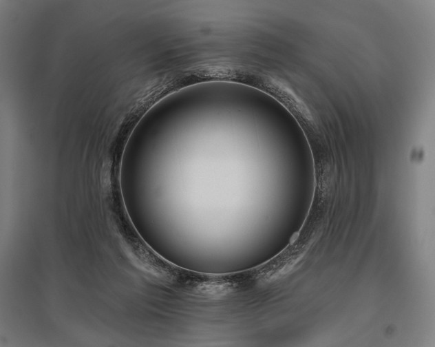 X0000096150213200801181210