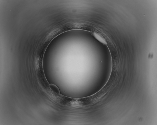 X0000096150216200801181210