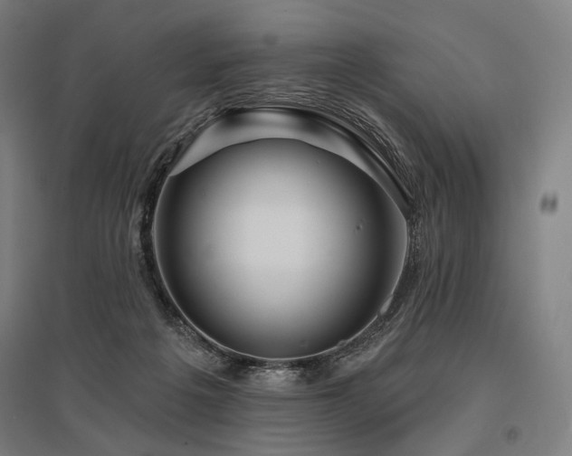 X0000096150217200801181210