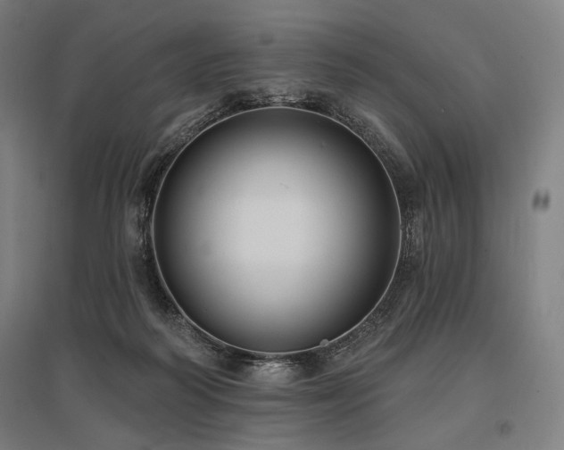 X0000096150218200801181209