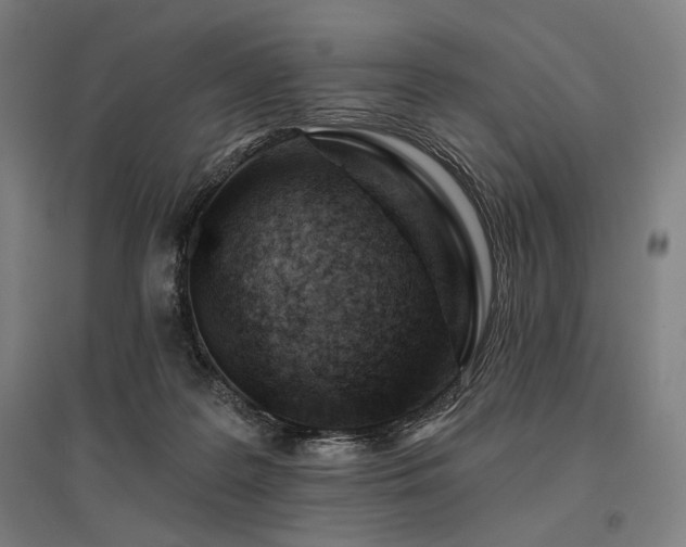 X0000096150219200801181209