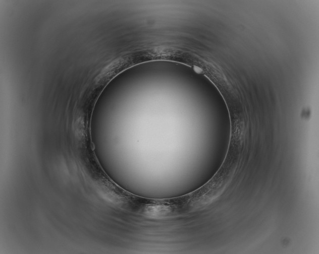 X0000096150220200801181209