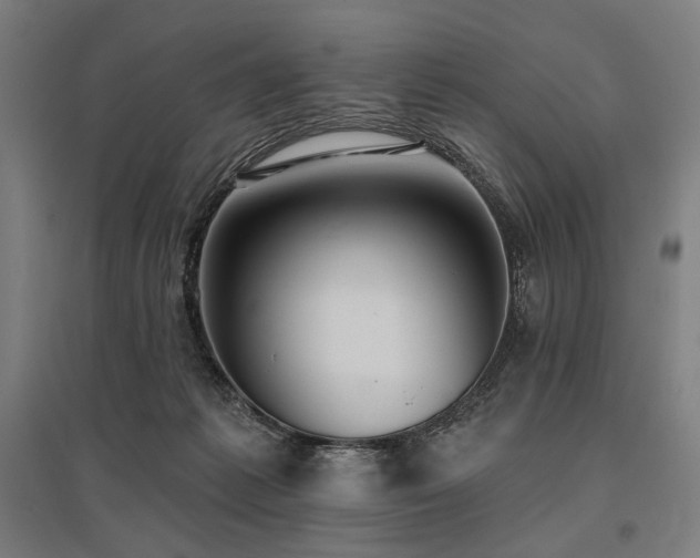 X0000096150221200801181209
