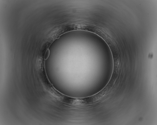 X0000096150222200801181209