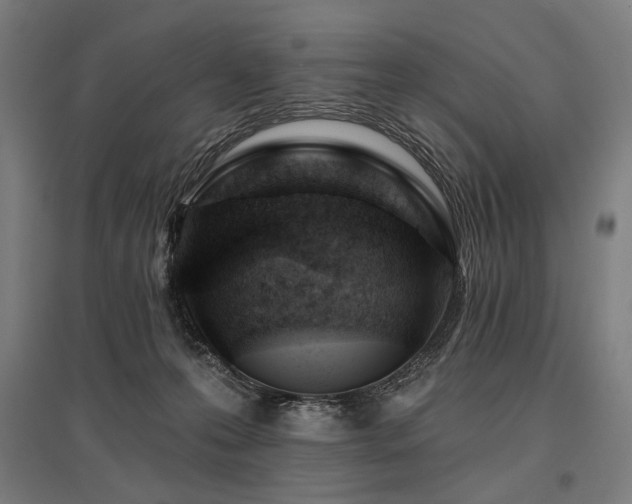 X0000096150223200801181209