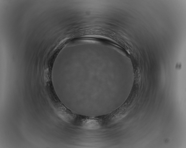 X0000096150224200801181209