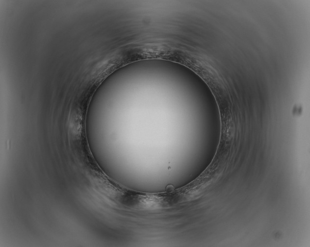X0000096150226200801181209