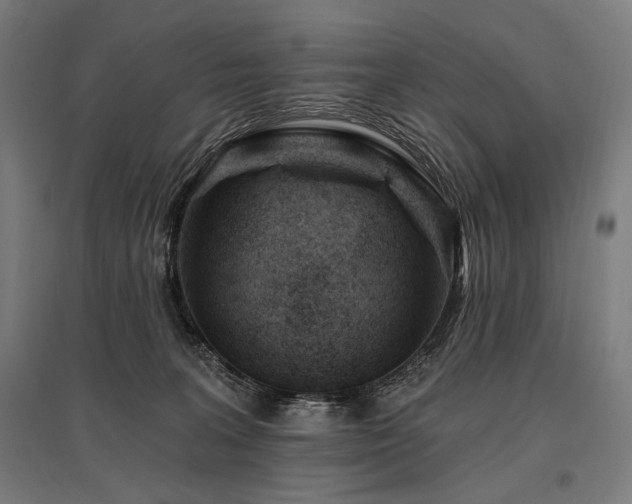 X0000096150227200801181209
