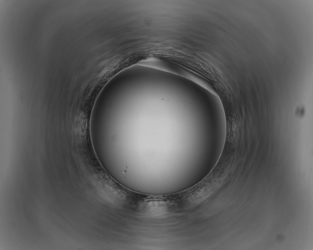 X0000096150228200801181209