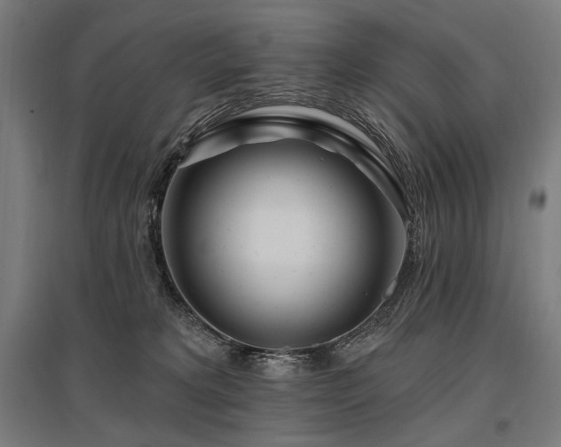 X0000096150229200801181209