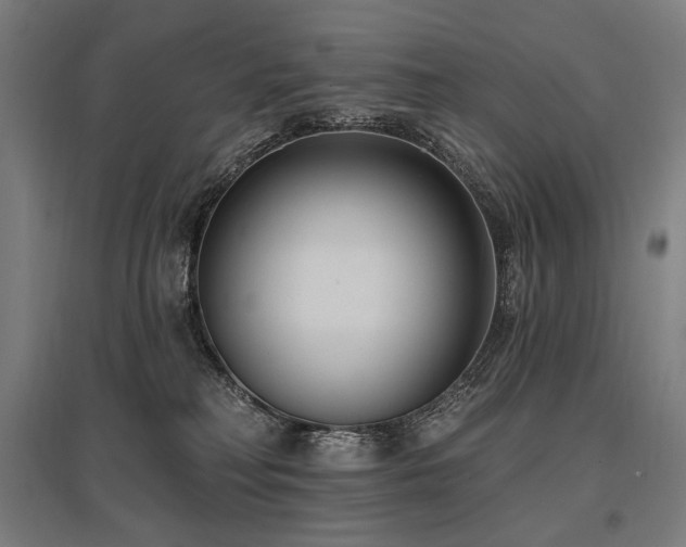 X0000096150230200801181209