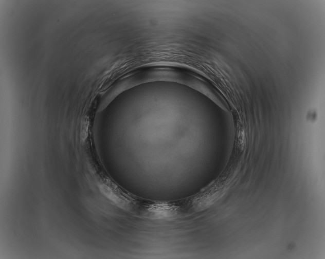 X0000096150231200801181209