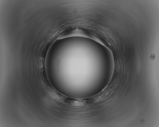 X0000096150232200801181209