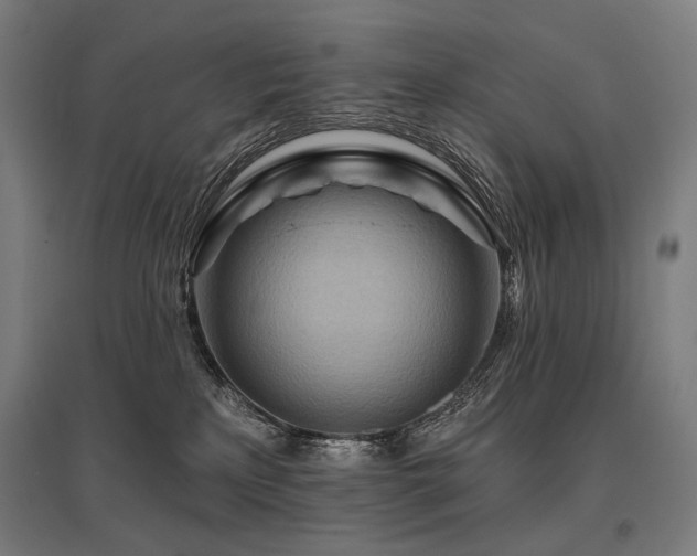 X0000096150233200801181209