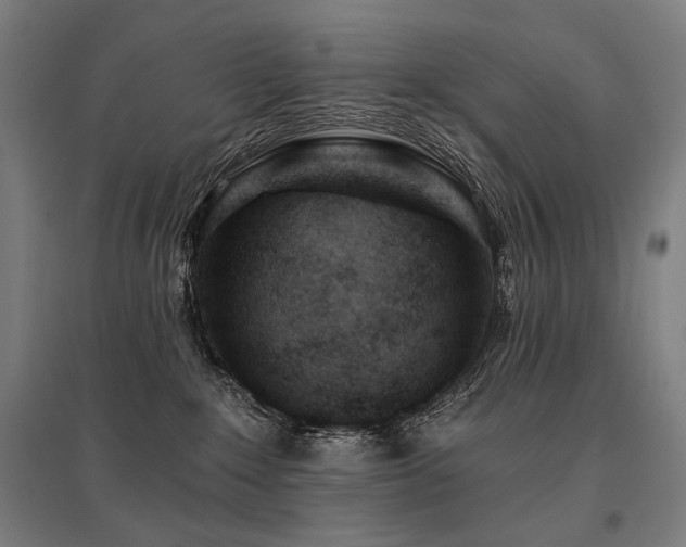 X0000096150235200801181209