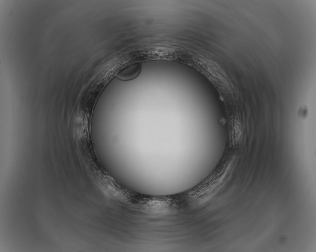 X0000096150236200801181209