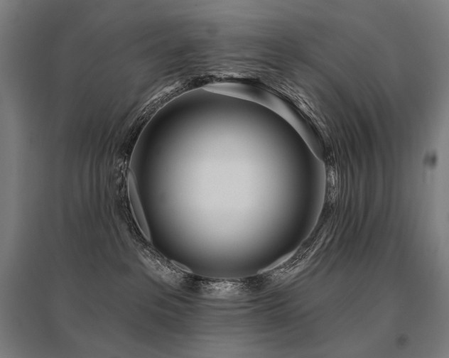 X0000096150237200801181209