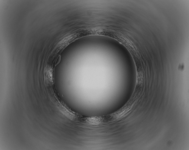 X0000096150238200801181209