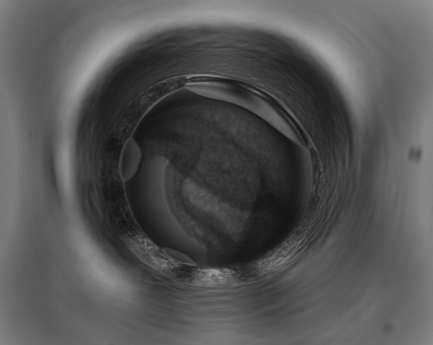 X0000096150239200801181209