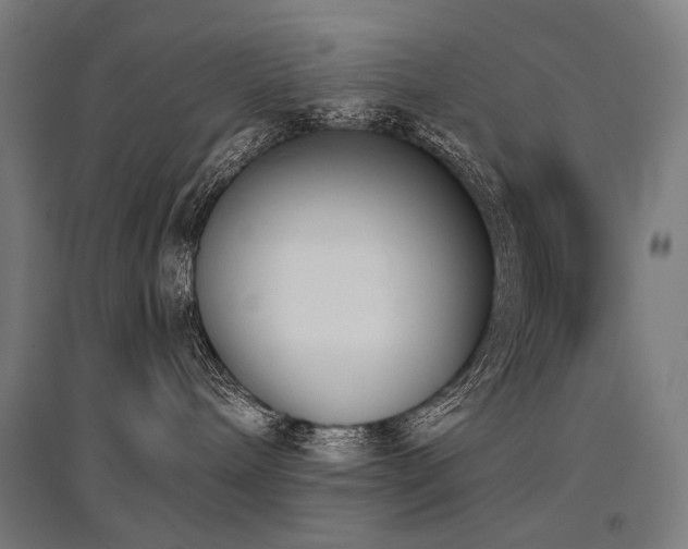 X0000096150240200801181209