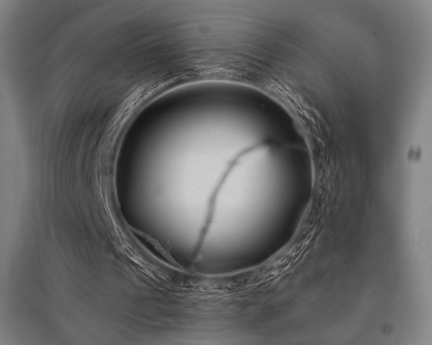 X0000096150241200801181209