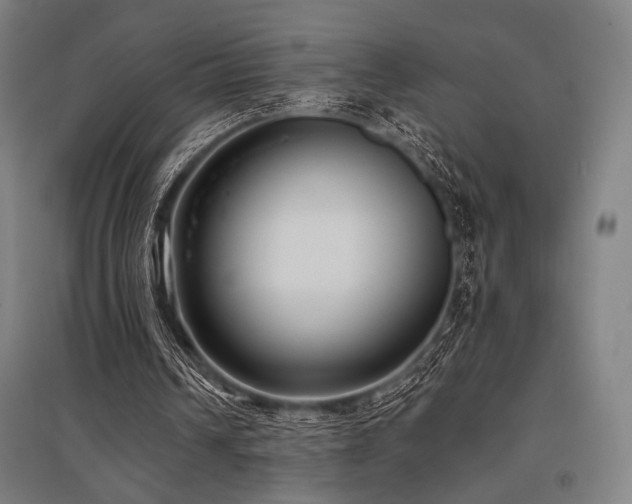 X0000096150242200801181209