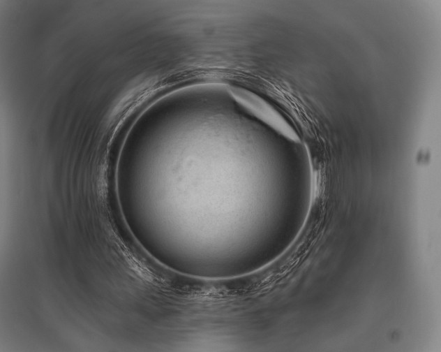 X0000096150243200801181209