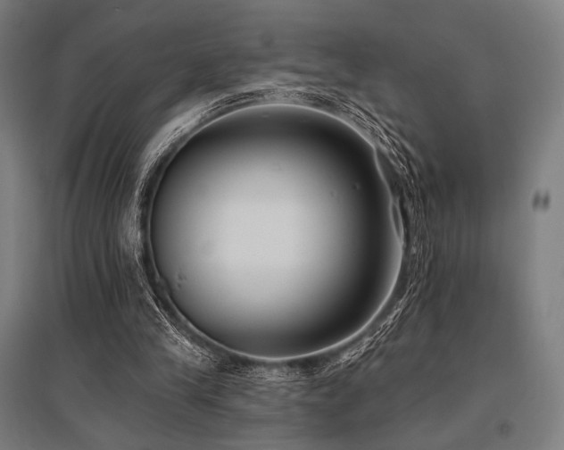 X0000096150245200801181209