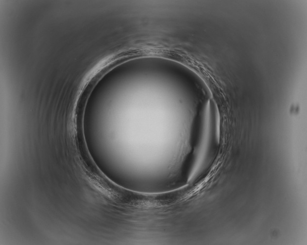 X0000096150246200801181209
